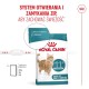 ROYAL CANIN Ageing 11+ Sterilised - dry cat food - 4kg