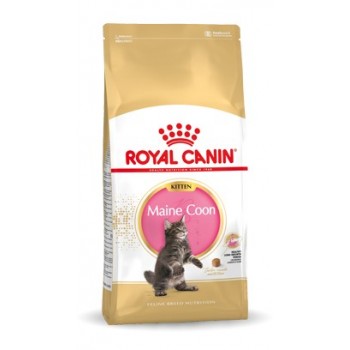 Royal Canin Maine Coon Kitten dry cat food 10 kg