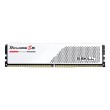 G.Skill F5-6000J2836G32GX2-RS5W memory module 64 GB 2 x 32 GB DDR5 4800 MT/s
