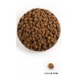ORIJEN Regional Red - dry dog food - 2kg