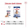 ROYAL CANIN Maxi Ageing Loaf - wet dog food - 410g