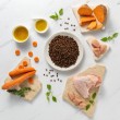 VETEXPERT Raw Paleo Ultra Mini Puppy Turkey - dry food for puppies - 8 kg