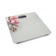 Esperanza EBS010 personal scale Electronic personal scale