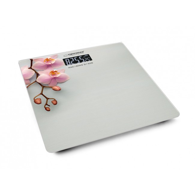 Esperanza EBS010 personal scale Electronic personal scale Esperanza EBS010 personal scale Electronic personal scale