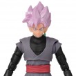 DRAGON BALL SUPER EVOLVE - ROSE GOKU BLACK