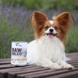 VETEXPERT Raw Paleo Adult Monoprotein Turkey - wet dog food - 800 g