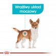 ROYAL CANIN Mini Urinary Care - dry dog food - 3 kg