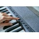 Casio CT-S1 Digital synthesizer 61 Black Casio CT-S1 Digital synthesizer 61 Black