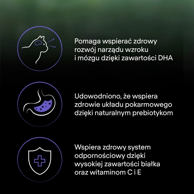 PURINA Pro Plan LiveClear Kitten Rich in turkey - dry cat food - 1,4kg