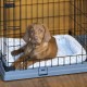 FERPLAST Superior 90 - dog cage - 92 x 58.5 x 62.5 cm FERPLAST Superior 90 - dog cage - 92 x 58.5 x 62.5 cm