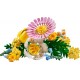 LEGO ICONS 10347 The Botanical Collection - Little Sunny Bouquet LEGO ICONS 10347 The Botanical Collection - Little Sunny Bouquet