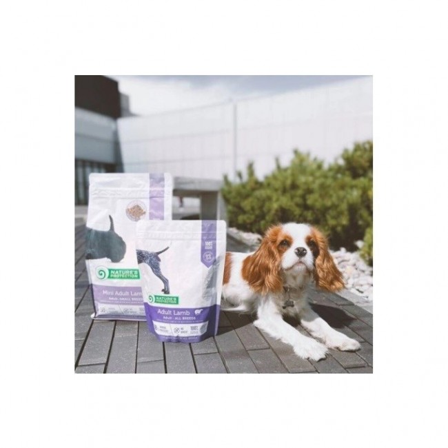 NATURE'S PROTECTION Adult Lamb - dry dog food - 12kg