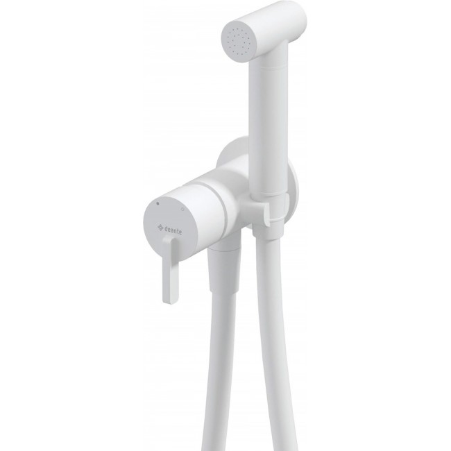 Concealed bidet mixer with bidetta receiver