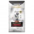 BIOFEED Euphoria Fresh Adult Medium & Large Pork with beef - dry dog food - 12kg