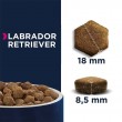 EUKANUBA Breed Specific Labrador Retriever Adult - dry dog food - 12kg