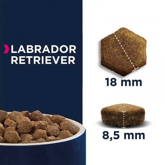 EUKANUBA Breed Specific Labrador Retriever Adult - dry dog food - 12kg
