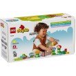 LEGO DUPLO 10444 Creative Garden and Flowers