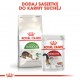 Royal Canin Outdoor dry cat food 2 kg