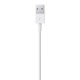 Apple Lightning to USB Cable (1 m) Apple Lightning to USB Cable (1 m)