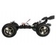 Amewi Raven Radio-Controlled (RC) model Truggy Electric engine 1:10