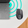 Logitech Marathon Mouse M705 Logitech Marathon Mouse M705