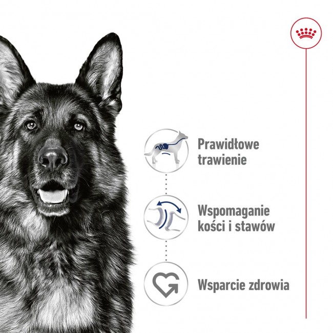 ROYAL CANIN Maxi Loaf - wet dog food - 410g