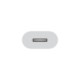 Apple USB-C to Lightning Adapter