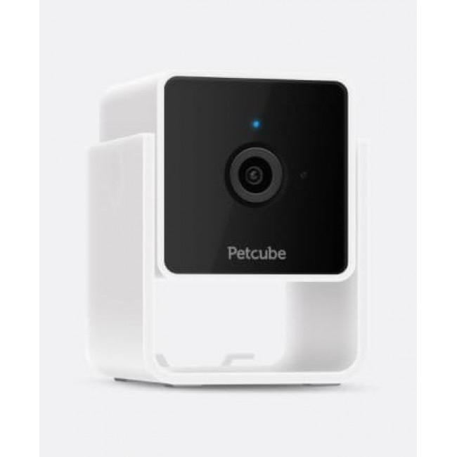 Pet cam with vet chat Petcube 1080P HD video night Pet cam with vet chat Petcube 1080P HD video night