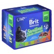 BRIT Premium Cat Sterilised Plate - wet cat food - 12x100g BRIT Premium Cat Sterilised Plate - wet cat food - 12x100g