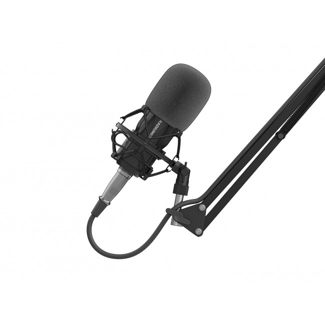 GENESIS Radium 300 XLR Black Studio microphone