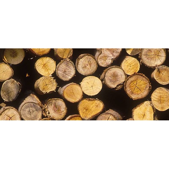 Einhell GE-LC 18/25-1 Li Kit Black, Red Einhell GE-LC 18/25-1 Li Kit Black, Red