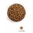 ACANA Dog Puppy Large Breed - dry dog food - 17kg