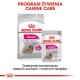 ROYAL CANIN Mini Exigent - dry food for fussy dogs - 1kg