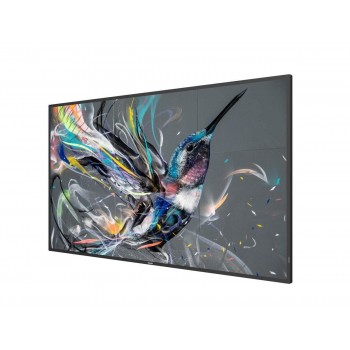 Philips Signage Flat Panel IPS 55