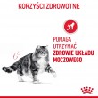 Royal Canin Urinary Care dry cat food Adult Poultry 2 kg Royal Canin Urinary Care dry cat food Adult Poultry 2 kg