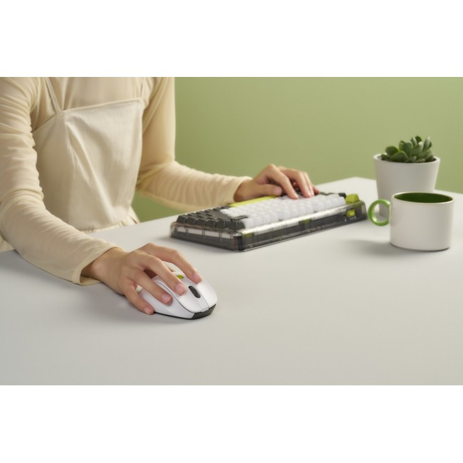 ASUS MD105 /VT-GN mouse Universal Right-hand RF Wireless + Bluetooth 2400 DPI ASUS MD105 /VT-GN mouse Universal Right-hand RF Wireless + Bluetooth 2400 DPI