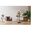 2-in-1 fan with heating function NOVEEN F740 16