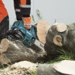 Makita DUC306Z not categorized Makita DUC306Z not categorized