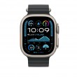 Apple 49mm Black Ocean Band Extension - Natural Titanium Finish