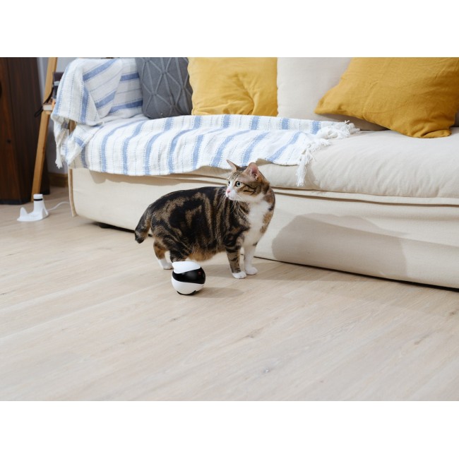Enabot EBO SE Robot IP Camera Compact N/A MP N/A 16GB external memory, support 256GB at maximum
