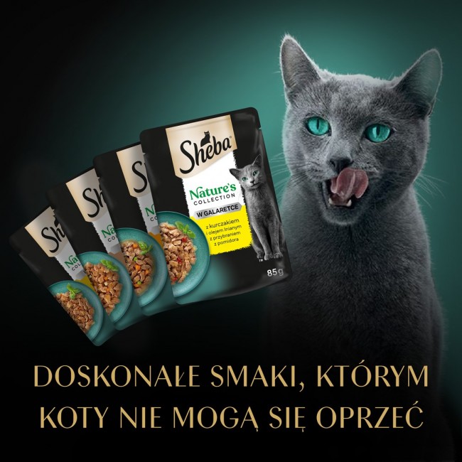 SHEBA Nature's Collection Poultry Flavors in jelly - wet cat food - 40 x 85g SHEBA Nature's Collection Poultry Flavors in jelly - wet cat food - 40 x 85g
