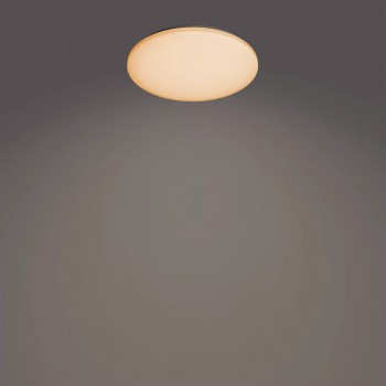 Philips Functional Izso Ceiling Light 40 W