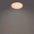Philips Functional Izso Ceiling Light 40 W