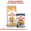 ROYAL CANIN FBN Bengal Adult - dry cat food - 10kg