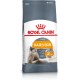ROYAL CANIN Hair&Skin Care Adult - dry cat food - 400g ROYAL CANIN Hair&Skin Care Adult - dry cat food - 400g