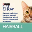 CAT CHOW Hairball Control Chicken Green Beans in Sauce 85g