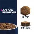 EUKANUBA Breed Specific Golden Retriever Adult - dry dog food - 12kg