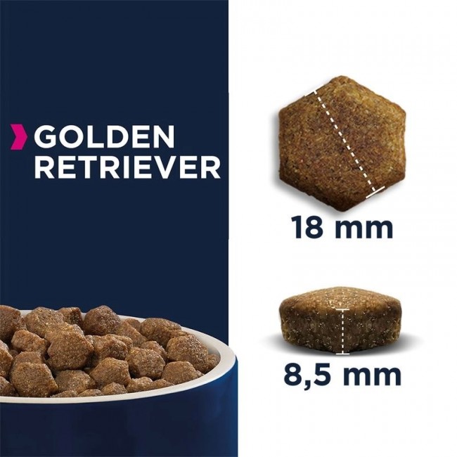 EUKANUBA Breed Specific Golden Retriever Adult - dry dog food - 12kg