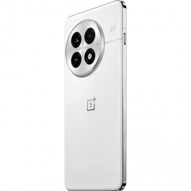 OnePlus 13 17.3 cm (6.82