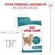 ROYAL CANIN Ageing 11+ - dry cat food - 2kg